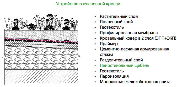 устройство озеленненной кровли