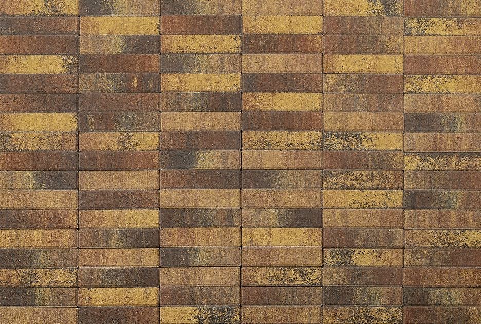 Плитка тротуарная BRAER Паркет, Color Mix, Мальва